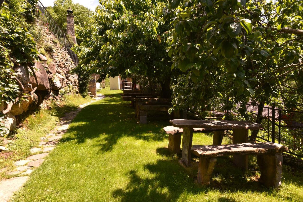 Balcon Del Pirineo Rural Ordesa Hotel Buesa Eksteriør billede