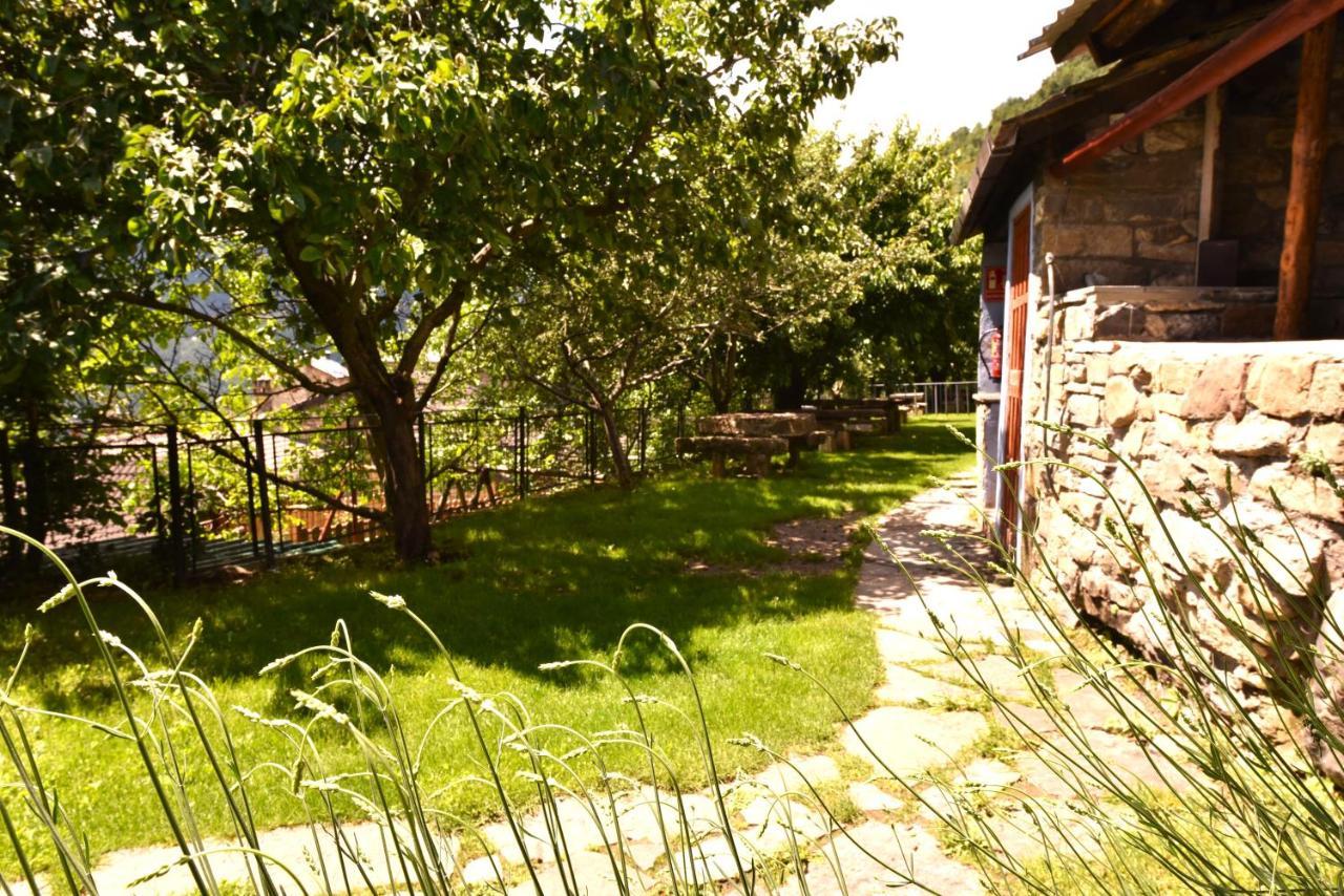 Balcon Del Pirineo Rural Ordesa Hotel Buesa Eksteriør billede